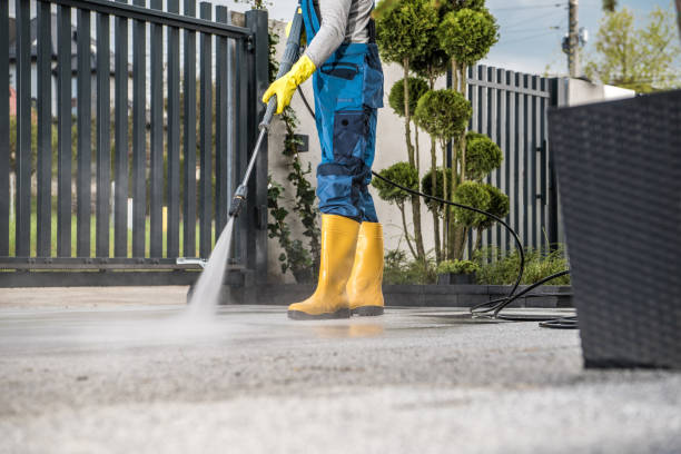 Best Sidewalk and Walkway Cleaning  in Alton, IL